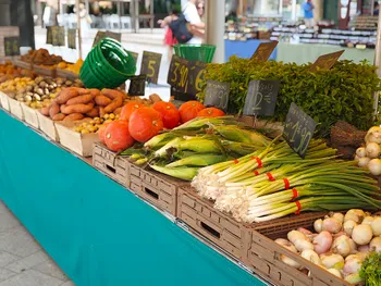 Vegetables for sale in a market