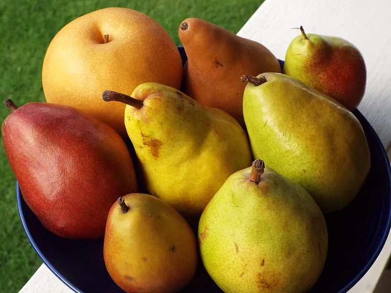 Assortment of pears editable=